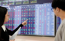 Chứng khoán tuần 9 - 13/6: Điểm danh những cổ phiếu “hưởng lợi” từ siêu bão Yagi