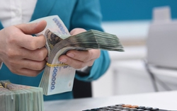 Nhiều doanh nghiệp "bốc hơi" lợi nhuận sau soát xét, nhà đầu tư làm gì?