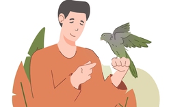 Truyện ngắn: Rồi xuân sẽ về thôi!