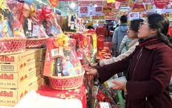 Kích cầu tiêu dùng, thúc đẩy phát triển thị trường trong nước dịp Tết Ất Tỵ và Quý I/2025