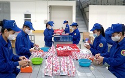 Phối hợp thực hiện tốt công tác tuyên truyền về Tổng cục Công nghiệp Quốc phòng
