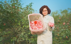 Trải nghiệm làm trà hoa hồng