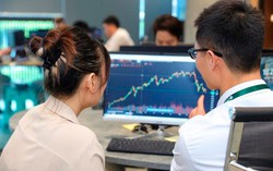 VN-Index ảm đạm phiên giao dịch đầu năm