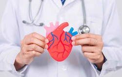 Y học tìm cách tái tạo bộ phận cơ thể người