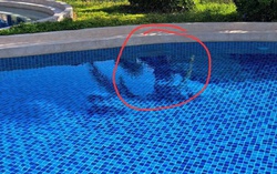 Hồ bơi nơi bé trai người Nhật đuối nước có nhiều sai phạm trong quá trình thực hiện