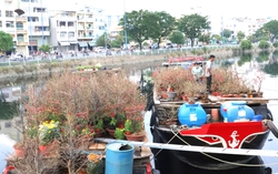 TPHCM: Thuyền ghe nô nức cập chợ hoa xuân "Trên bến dưới thuyền"