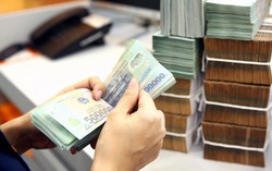 Tiền lương năm 2024: Tăng bình quân 4%, mức lương cao nhất 863 triệu đồng/tháng