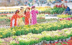 Chợ xuân - những nốt nhạc rộn ràng