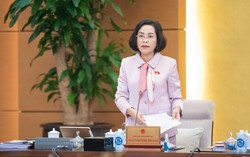 Dự thảo Luật Việc làm (sửa đổi) chưa dự liệu chính sách cho người không có việc làm do tinh giản