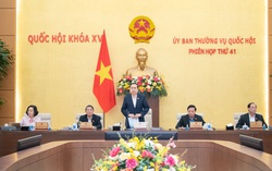 Thường vụ Quốc hội tiếp tục cho ý kiến Luật Việc làm (sửa đổi)