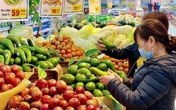 Kịch bản nào cho thị trường giá cả của Việt Nam năm 2025?