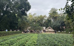 Tổng Bí thư Tô Lâm dâng hương tưởng nhớ Chủ tịch Hồ Chí Minh tại Nghệ An
