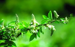 Kiến tạo cuộc đời ý nghĩa nhờ khởi nghiệp với đặc sản địa phương