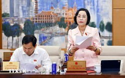 Tiếp tục có giải pháp căn cơ, đồng bộ để chủ động phòng, chống bão lũ
