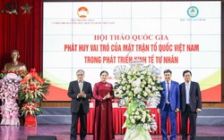 Các giải pháp phát huy vai trò của MTTQ Việt Nam và các tổ chức thành viên nhằm phát triển kinh tế tư nhân