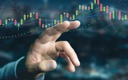 VN-Index lập đỉnh lịch sử mới: MSN và Vingroup dẫn sóng thị trường