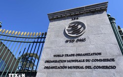 Việt Nam tham gia cơ chế giải quyết tranh chấp của WTO