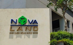 Novaland khắc phục những vi phạm và cam kết gì?