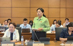 ĐBQH đề nghị sớm ban hành chính sách hỗ trợ thực hiện phong trào "Bình dân học vụ số"