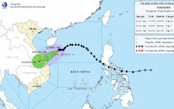 Bão số 12 cách thành phố Đà Nẵng khoảng 310km