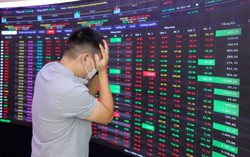 VN-Index lao dốc 95 điểm trong một ngày: Nguyên nhân nào gây nên "cơn bão đỏ" ngày 20/10?