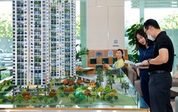 Hơn 1.260 doanh nghiệp bất động sản rút lui: Cuộc sàng lọc cần thiết để thị trường bền vững hơn
