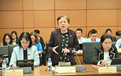 Dự thảo Luật Dân số: Không thể khuyến khích sinh con bằng "khẩu hiệu"
