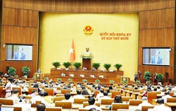 Quốc hội thảo luận về Luật Hoạt động giám sát của Quốc hội và hội đồng nhân dân
