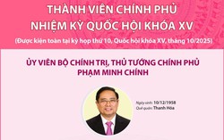 Thành viên Chính phủ nhiệm kỳ Quốc hội khóa XV