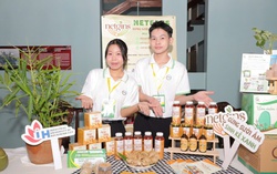 TPHCM đứng đầu số dự án tại vòng Chung kết cuộc thi Khởi nghiệp xanh 2025