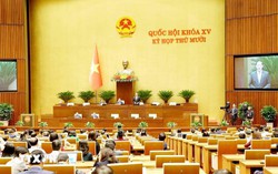 Quốc hội nghe tờ trình, báo cáo giải trình và thảo luận về 9 dự thảo luật