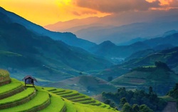 Tiếp sức cho sản phẩm vùng đồng bào dân tộc thiểu số và miền núi khẳng định vị thế thương hiệu trên bản đồ thương mại quốc gia