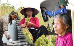 An sinh xã hội cho lao động phi chính thức - Bài cuối: Đưa lao động phi chính thức đến gần "lưới an sinh xã hội"