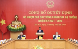 Thủ tướng Chính phủ phân công nhiệm vụ của các Phó Thủ tướng