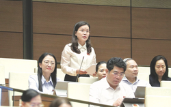 Khi thảm họa xảy ra, nhà giàu - nhà nghèo đều cần được cứu trợ như nhau