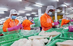 Tuyên bố chung Việt Nam và Hoa Kỳ: Củng cố vị thế trong chuỗi cung ứng toàn cầu