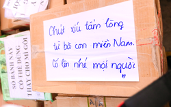 TPHCM: Hơn 70 tấn hàng chia sẻ khó khăn với đồng bào bị thiên tai