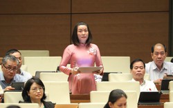 Đại biểu Quốc hội: Rác thải nhựa "áp đảo" cảnh quan biển đẹp