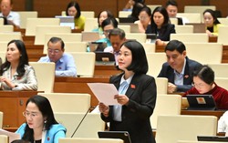 Cần kiên quyết xử phạt vi phạm môi trường như phạt nồng độ cồn