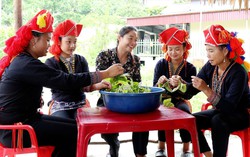 Lào Cai: Đạt nhiều kết quả tích cực trong thực hiện Dự án 8