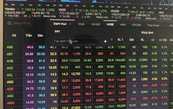 Dòng tiền bắt đáy trở lại cuối phiên, VN-Index tăng gần 30 điểm