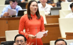 Đại biểu Quốc hội đề nghị Chính phủ chỉ đạo quyết liệt nạn "bắt cóc online"