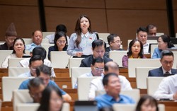 "Nền giáo dục không thể hạnh phúc nếu người dạy bị xúc phạm, người học bị bạo hành"