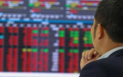 Thị trường đỏ lửa: Mã nào đang bán tháo, cổ phiếu nào giữ vai trò trụ đỡ?