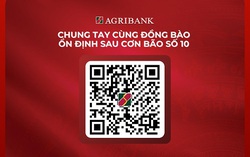 Mặt trận Tổ quốc Việt Nam thông tin số tài khoản tại Agribank tiếp nhận ủng hộ đồng bào chịu thiệt hại do bão số 10 