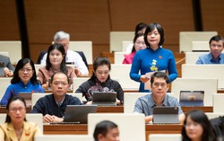 Đại biểu Quốc hội đề xuất nhiều giải pháp phòng chống bạo lực học đường