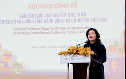 30 năm thực hiện Cương lĩnh Bắc Kinh của Việt Nam