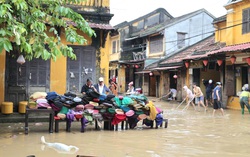 Nhà đầu tư, chủ homestay ở Hội An chia sẻ kinh nghiệm "sống chung với lụt"