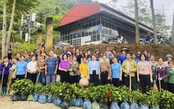 Hội LHPN tỉnh Thái Nguyên triển khai mô hình con đường hoa và tập huấn phân loại rác thải