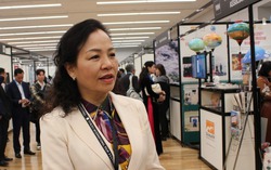 Liên hoan phim quốc tế Tokyo lần thứ 38: Đưa điện ảnh Việt Nam vươn tầm thế giới